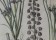 Bessler- Frittilaria Persica